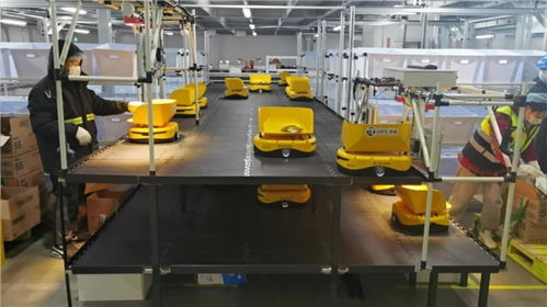 備戰618 機器人先上陣，鏢普、小黃人、RaaS技術助力高效柔性自動化分揀