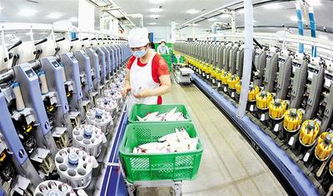 東光 傳統(tǒng)紡織業(yè)走上 現(xiàn)代路