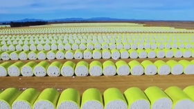 棉花在紡紗廠如何加工處理成細(xì)絲