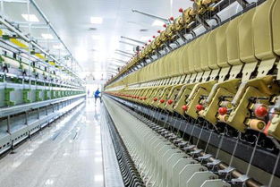 鄂爾多斯 中國(guó)羊絨的 國(guó)際化之路