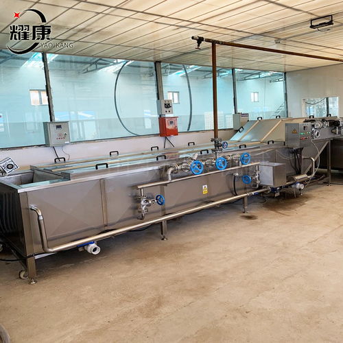 全自動(dòng)果蔬漂燙機(jī) 玉米生產(chǎn)加工設(shè)備