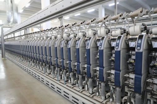 副省長羅小云到我縣調研紡織服裝產(chǎn)業(yè)鏈發(fā)展情況