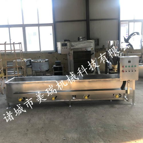 食品廠魚丸生產(chǎn)線,魚丸加工機器