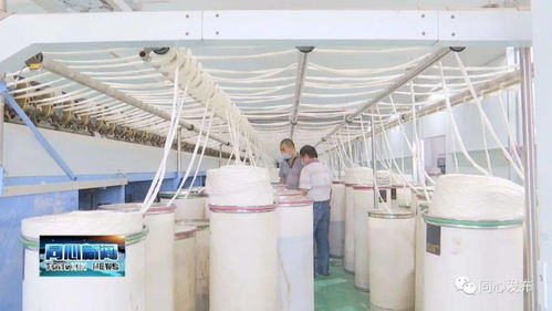 下馬關鎮(zhèn)三山井村扶貧車間開業(yè)了