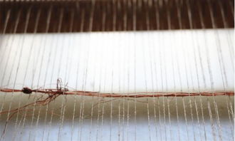 職人故事 ▎簡素 我們將山野草織入面料,留住記憶中的草木四季