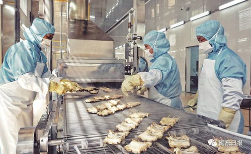 開發三都澳 建設新寧德 三同工程助力水產加工業轉型升級，東僑提升配套服務北部新區產業發展