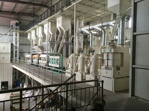 先進成套玉米加工設備 驅動玉米食品多元化與紡紗加工的革新引擎